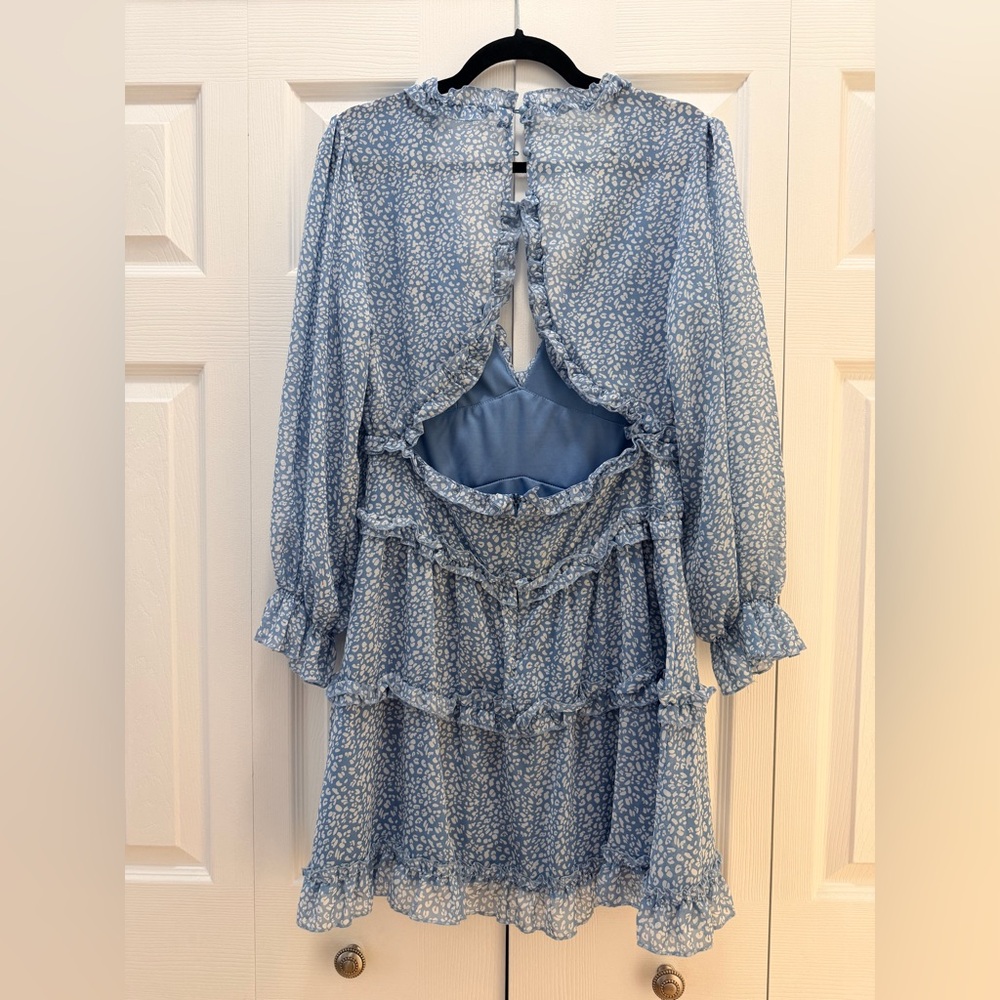 Blue Floral Ruffle Dress - Picture 3 of 4